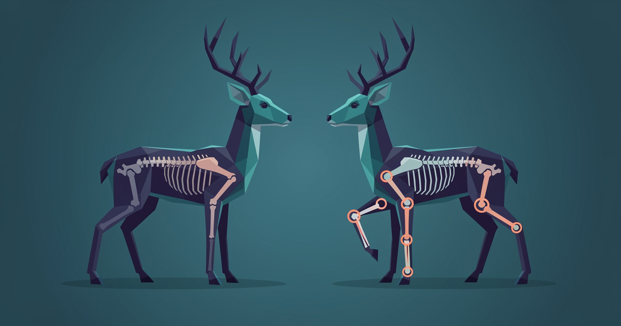 Two low-poly deer with visible skeletons, one with nearly straight leg bones and one with legs that fold at the joints