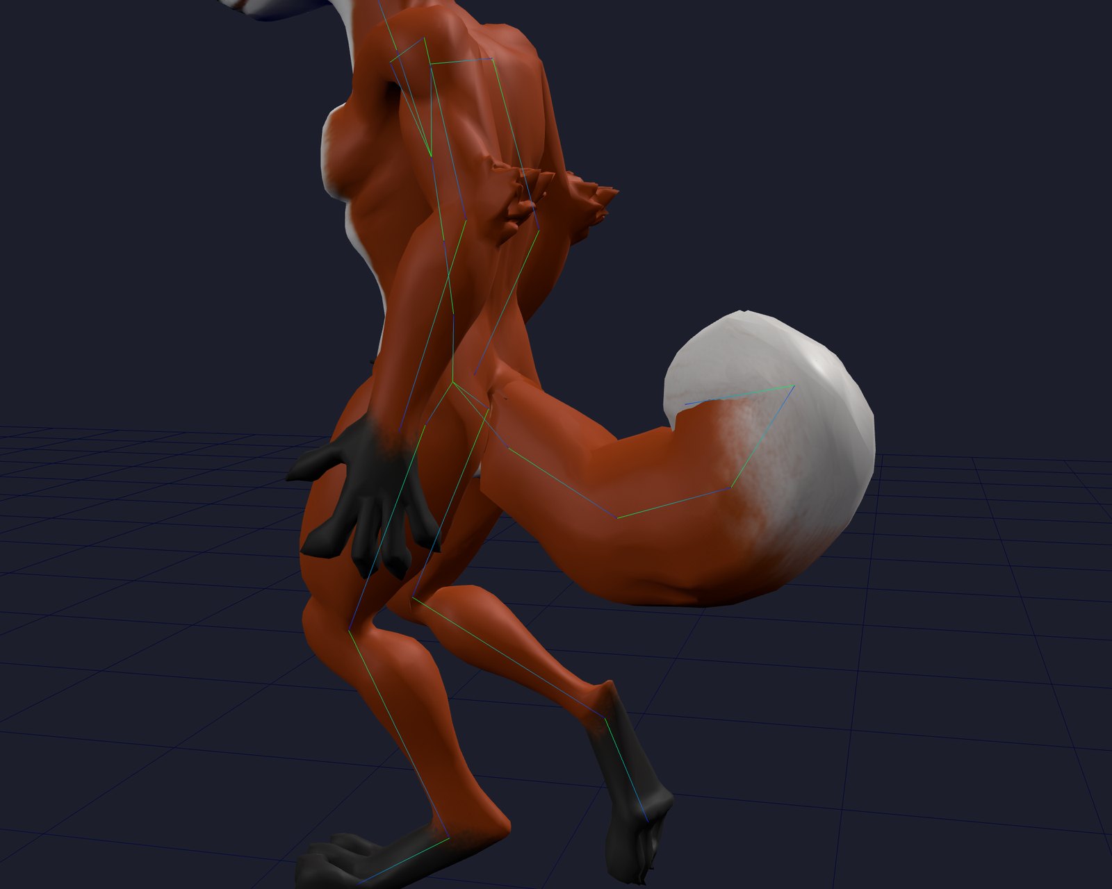 Side view of the walking fox with its skeleton drawn over the mesh; four tail bones run from the pelvis along the tail, carried up and back