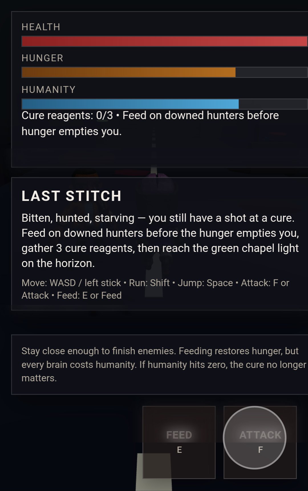 Last Stitch