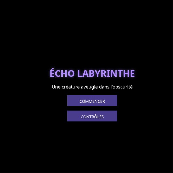 ÉchoLabyrinthe screenshot