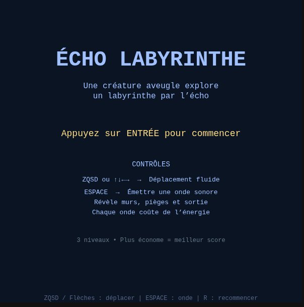 Écho Labyrinthe screenshot