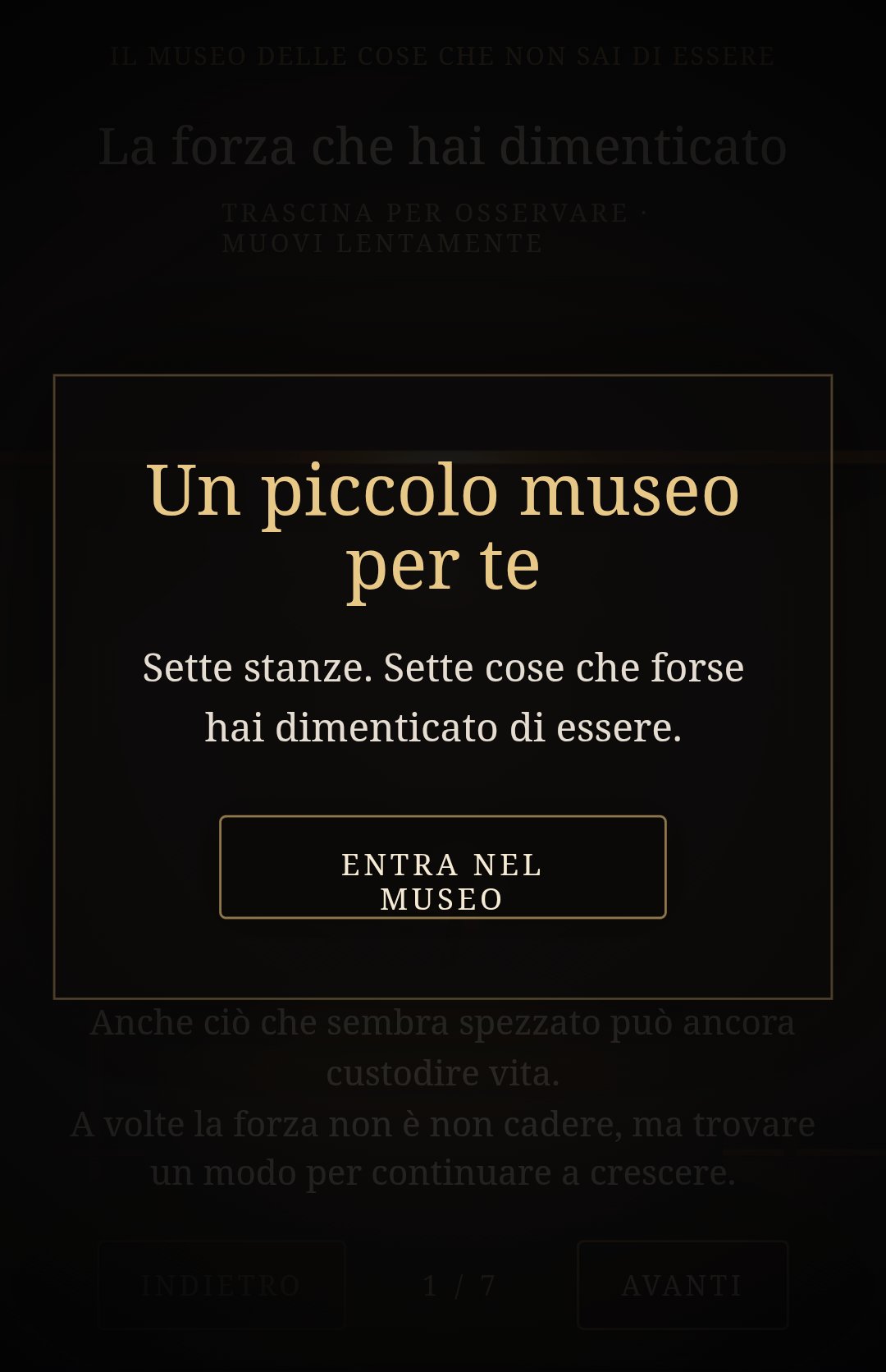 Museo delle Cose